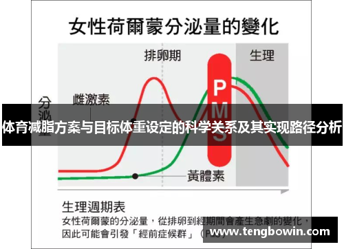 体育减脂方案与目标体重设定的科学关系及其实现路径分析