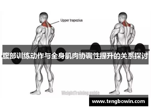 腹部训练动作与全身肌肉协调性提升的关系探讨